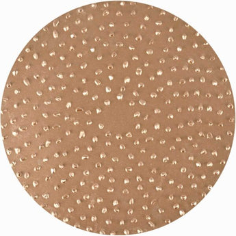 TapeTech Grit Tungsten Carbide Sanding Disc for Power Sanders